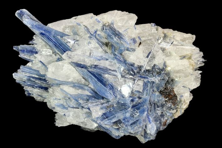 Vibrant Blue Kyanite Crystals In Quartz - Brazil #127370